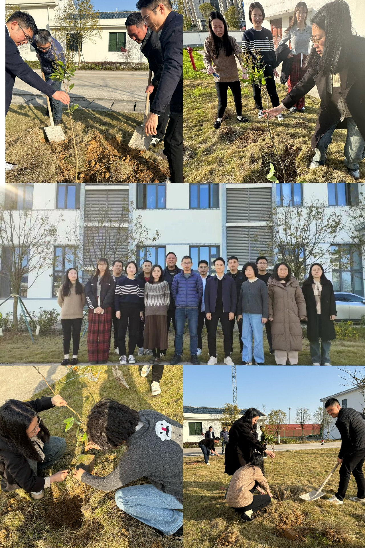 2024-3-12綠色陸港，美麗寧德，阮克妙拍攝.jpg